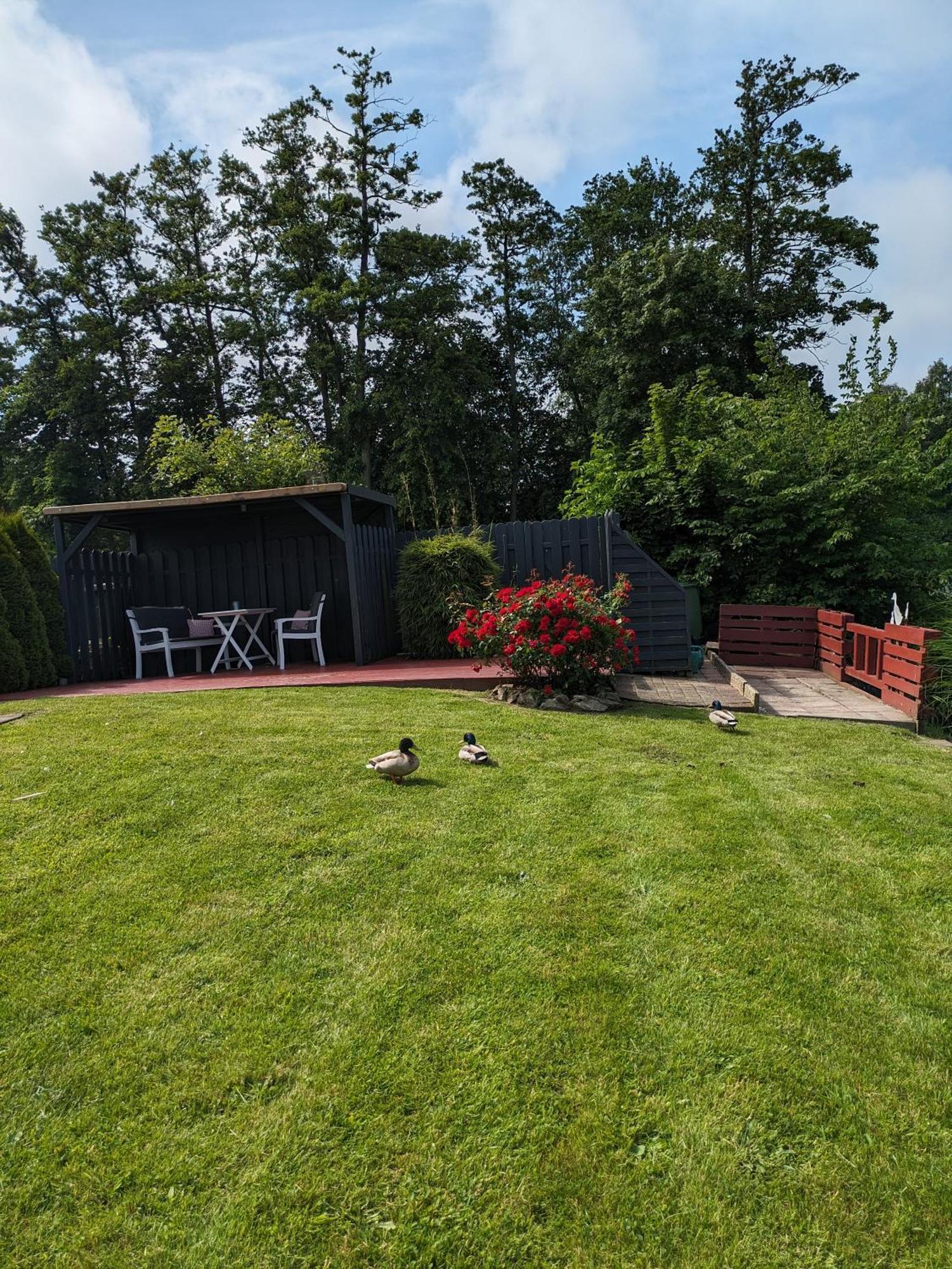 Haus Vivienne Villa Dornum Kültér fotó